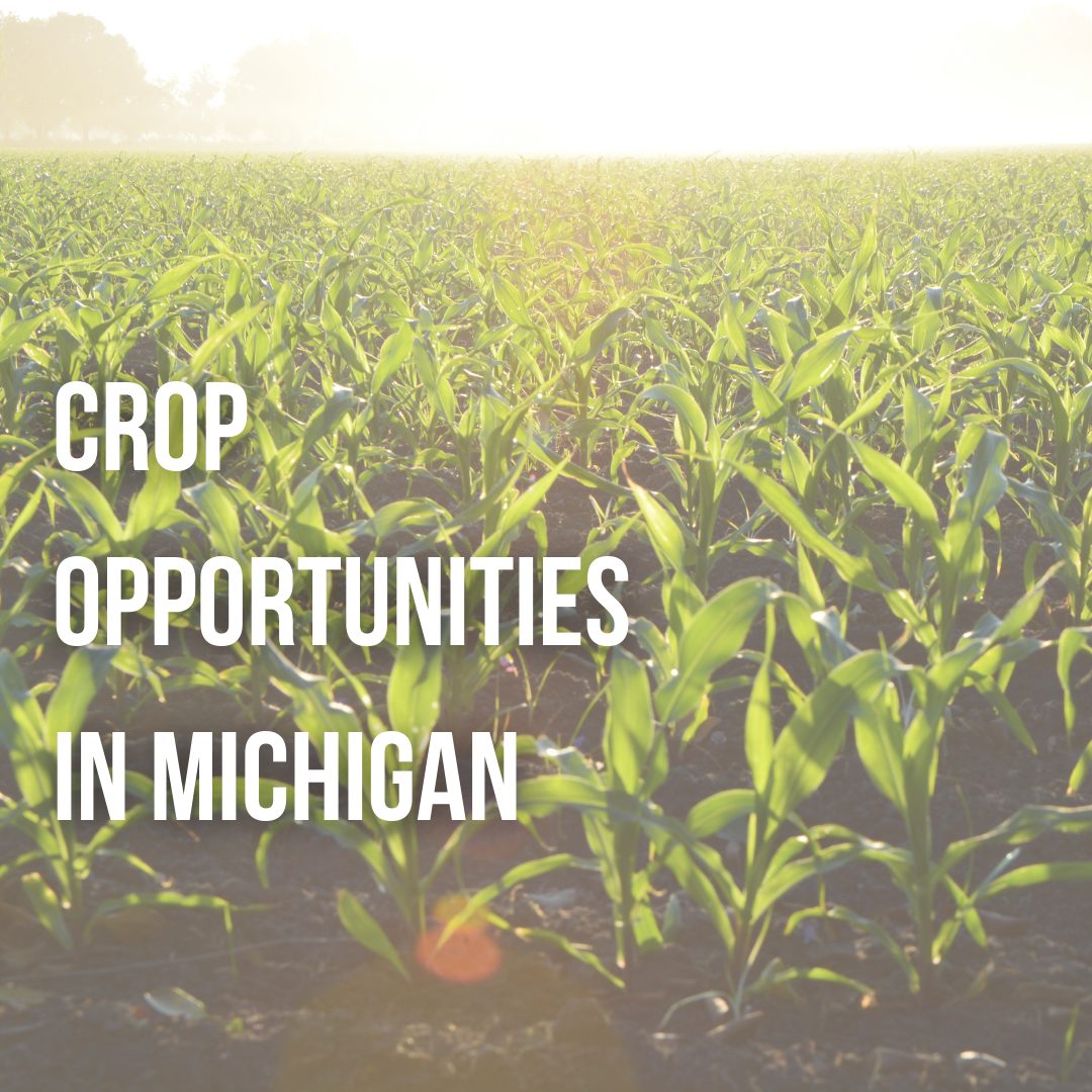 Crop Opportunities in Michigan