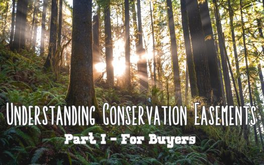 understanding conservation easements for land buyers