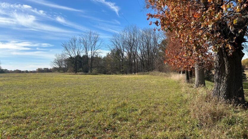 48 acres land for sale West MI