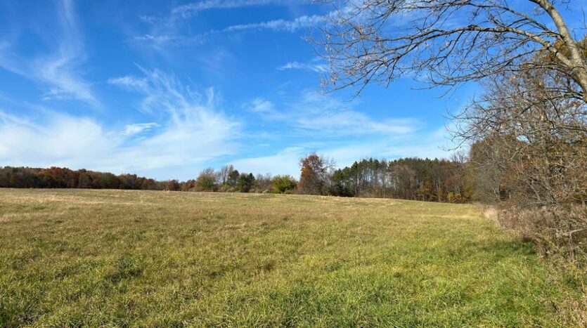 48 acres for sale in Delton