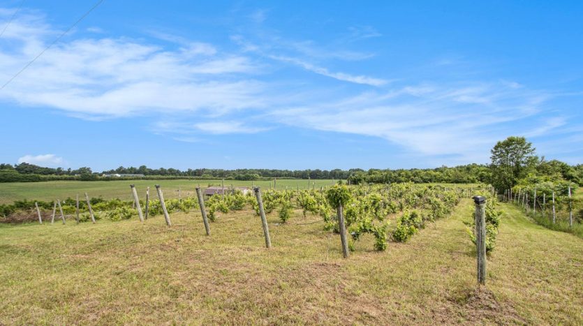 Suzy Glomski land acreage realtor Lawrence MI