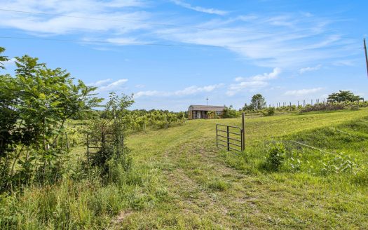 winemaking acreage in Lawrence MI for sale