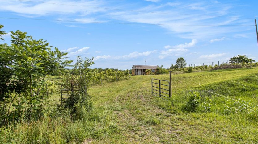 winemaking acreage in Lawrence MI for sale