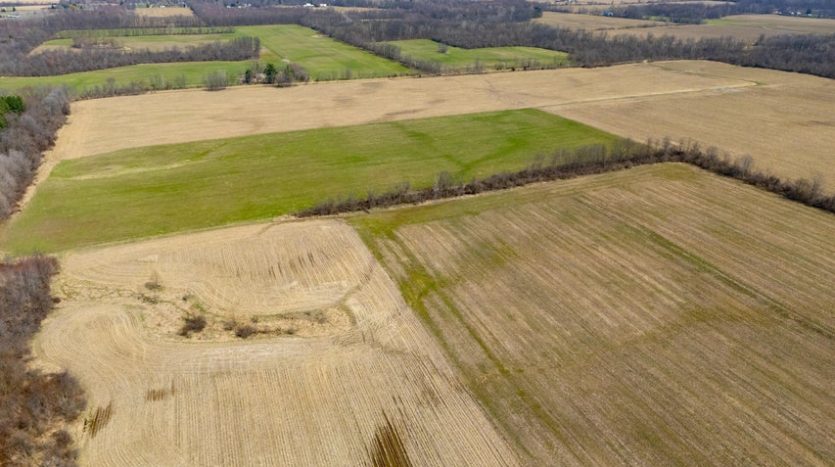 Suzy Glomski land broker Realtor Paw Paw MI