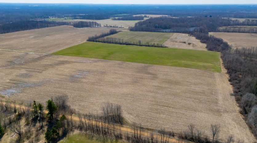 acreage with hay fields and woods for sale SW MI