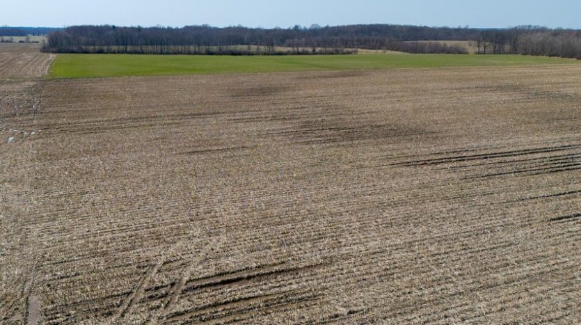 farm for sale Southwest MI