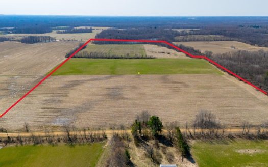 80 acres tillable land for sale Paw Paw